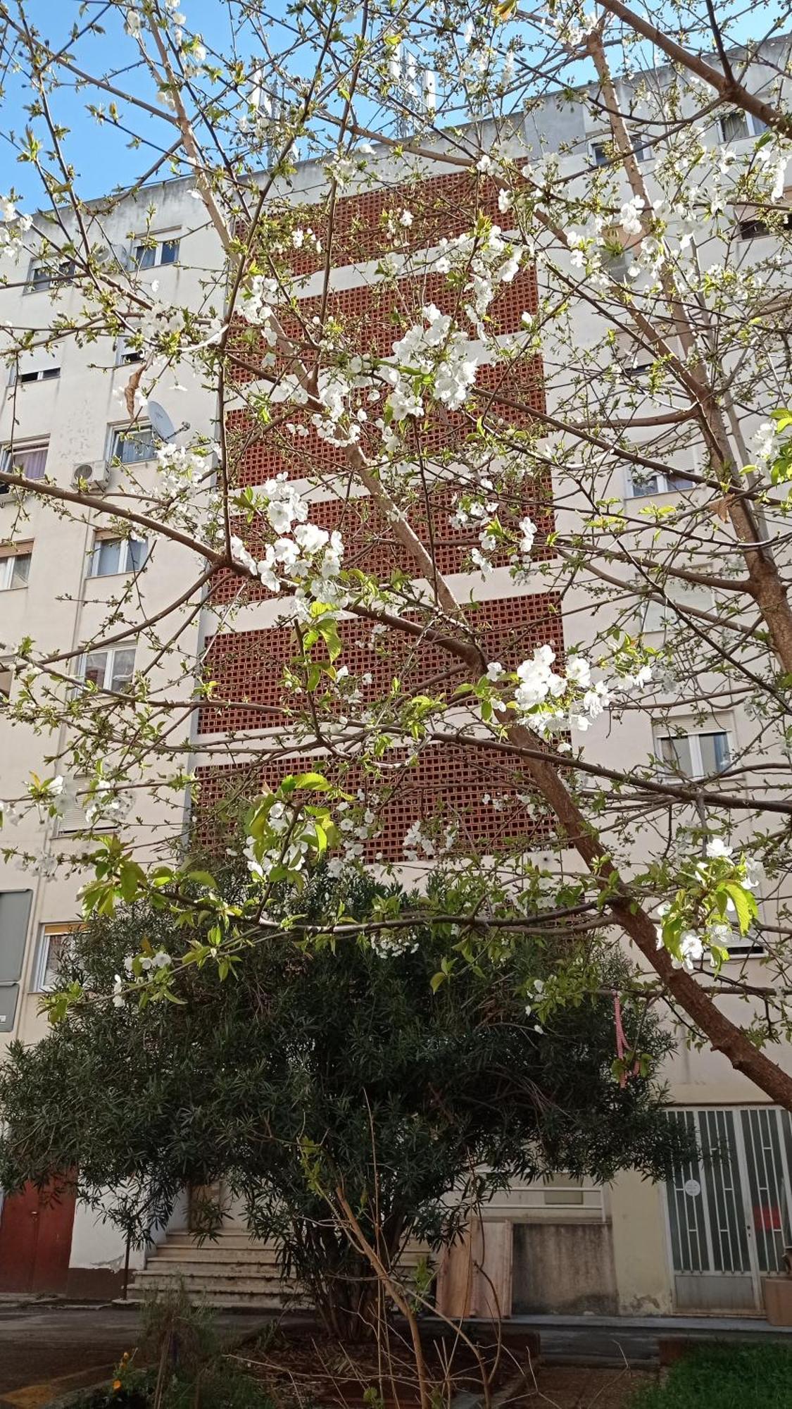 App Letta Sunset Pula Διαμέρισμα Εξωτερικό φωτογραφία