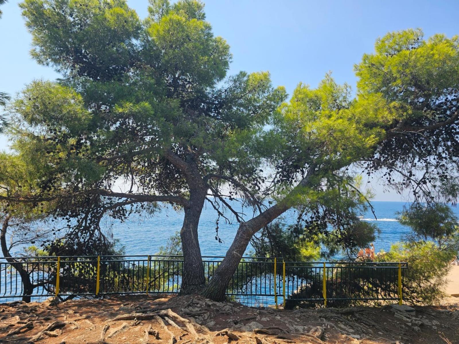 App Letta Sunset Pula Διαμέρισμα Εξωτερικό φωτογραφία